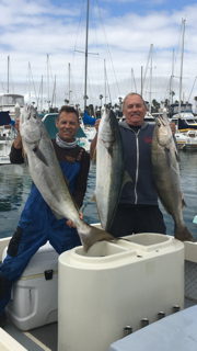 bennett-slip-seabass-yellow