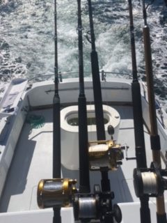 good-stern-shot-e1521867258150