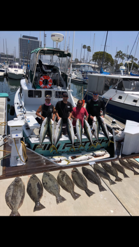 hali-yellow-pic-at-dock