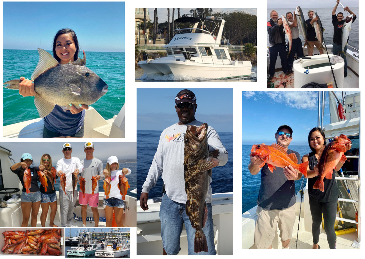 Awesome fishing at Catalina Island with White Seabass, Yellowtail, Halibut and more